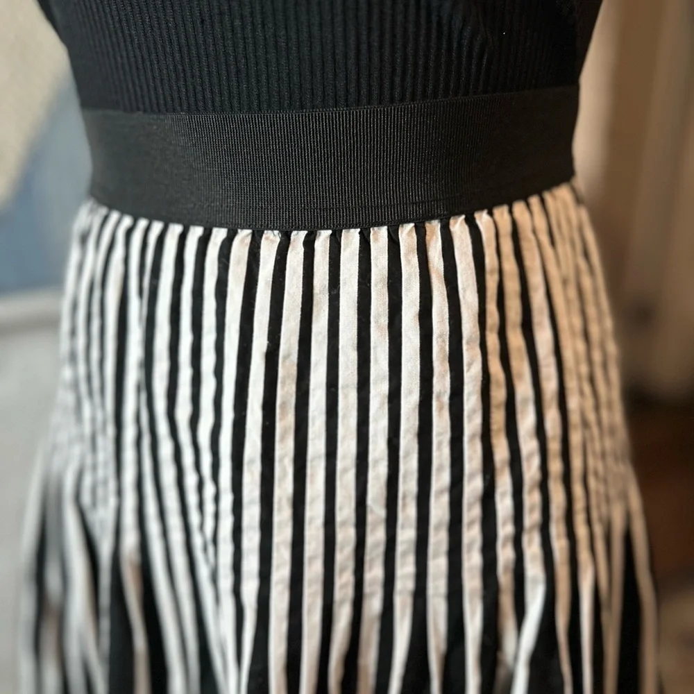 Amanda + Chelsea Black and White Striped Skirt